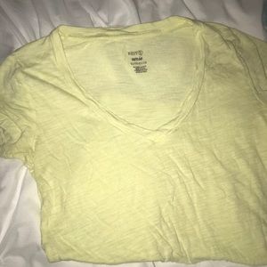 Yellow Aerie ‘Best T’